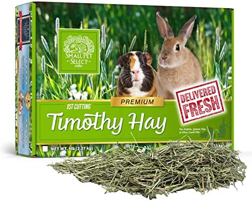  Small Pet Select 1st Cut Timothy Hay Pet Food For Rabbits, Guinea Pigs, And Other Small Animals, Easy To Store Box, 20 LB