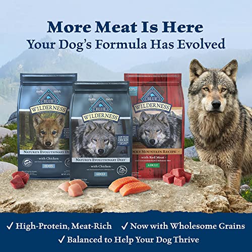  Blue Buffalo Wilderness High Protein Natural Small Breed Adult Dry Dog Food Plus Wholesome Grains, Chicken 13 Lb Bag