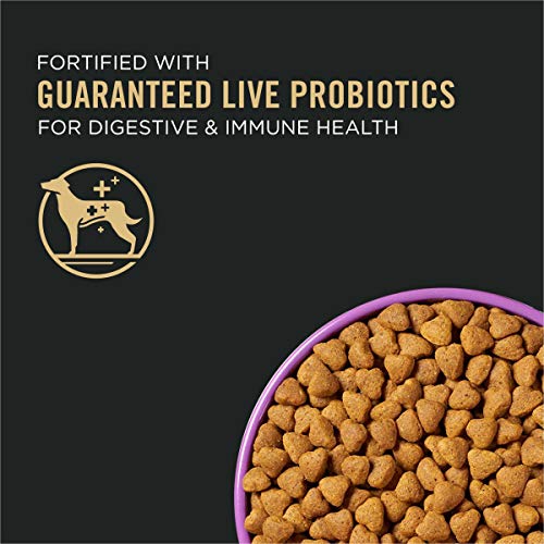  Purina Pro Plan High Energy, High Protein Dog Food, SPORT 30/20 Salmon & Rice Formula - 33 Lb. Bag