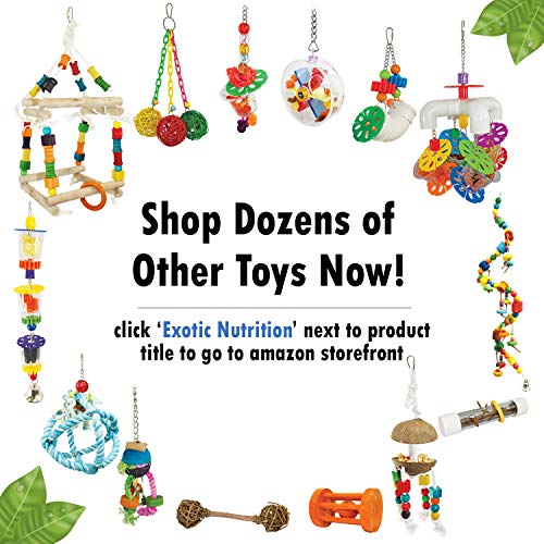  Fruit And Veggie Basket - Durable Treat Foraging Cage Accessory Toy - Squirrels, Chinchillas, Prairie Dogs, Degus, Sugar Gliders, Skunks, Opossums, Marmosets, Rabbits, Guinea Pigs & Other Small Pets