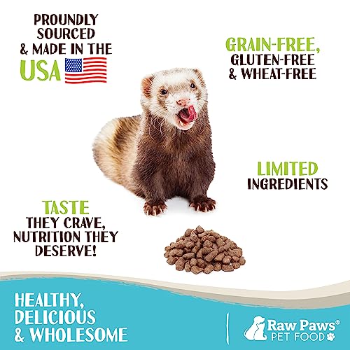  Raw Paws Freeze Dried Raw Ferret Food, Beef 16-oz - Made In USA - Premium, Grain Free Ferret Diet For Small, Adult, Senior & Baby Ferrets - Also Use As Natural Ferret Treats For Rewarding & Training