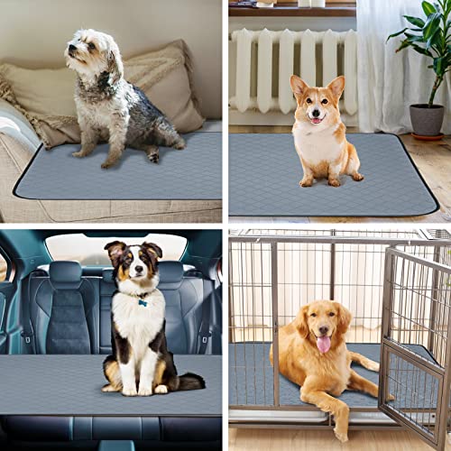  Avont 2 Pack Washable Reusable Puppy Pee Pad, Highly Absorbent Non Slip Dog Training Whelping Pads With Waterproof Bottom, Guinea Pig Fleece Cage Pen Liner Cats Food Feeding Mat -Large