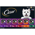  CESAR Wet Dog Food Classic Loaf In Sauce Grilled Chicken, Filet Mignon, Porterhouse Steak, Beef, Chicken & Liver And Turkey Variety Pack (36) 3.5 Oz. Easy Peel Trays