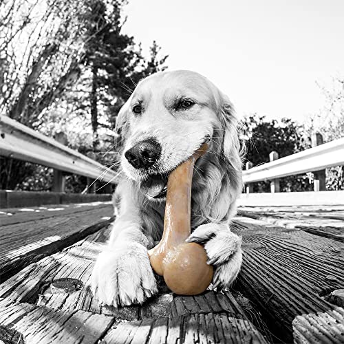 Glade® Pet Qwerks Zombie BarkBone - Nylon Dog Bone For Moderate Chewers - Bacon Flavor - 9.5"