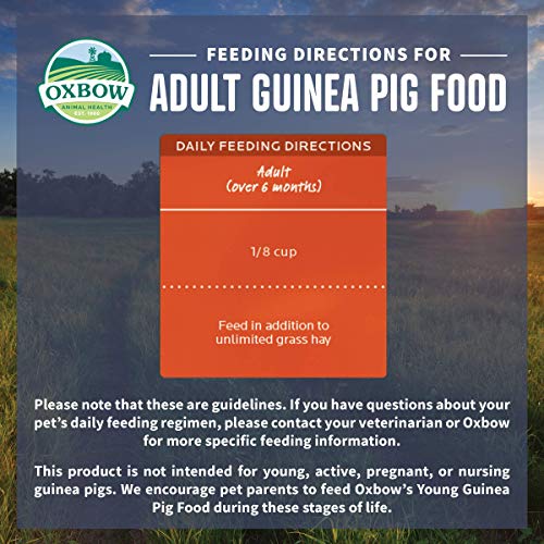  Oxbow Essentials Adult Guinea Pig Food - All Natural Adult Guinea Pig Pellets - 10 Lb.