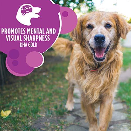  IAMS Healthy Aging Adult Large Breed Dry Dog Food For Mature And Senior Dogs With Real Chicken, 30 Lb. Bag