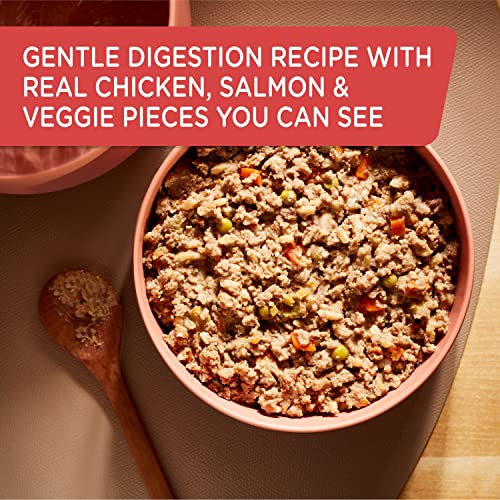  Rachael Ray Nutrish Gentle Digestion Wet Dog Food, Real Chicken, Pumpkin & Salmon, 13 Ounce Can (Pack Of 12)