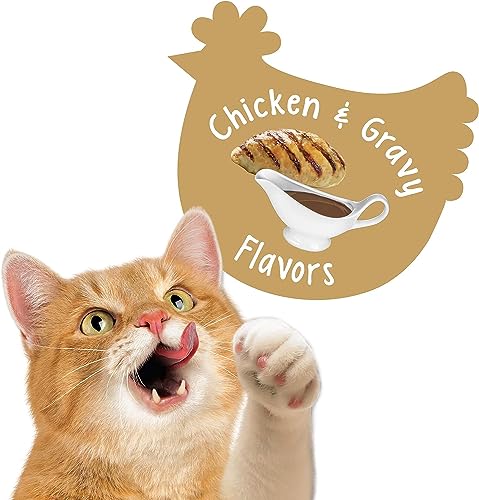  Purina Friskies Party Mix Cat Treats, Gravy-Licious Crunch With Chicken & Gravy Flavors, Crunchy Cat Treats For Adult Cats, 6 Ounce Resealable Pouch (8)