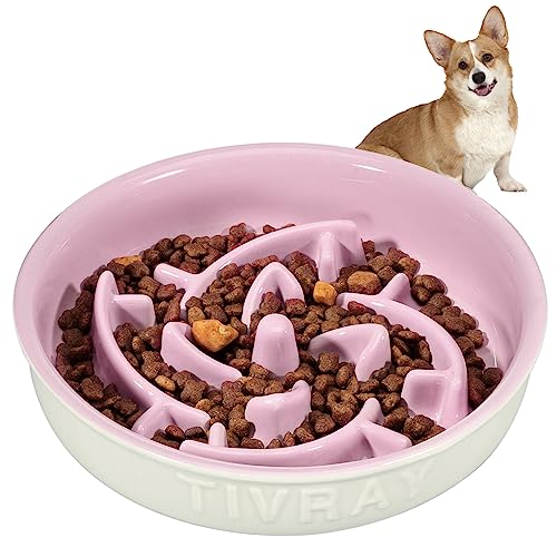  Tivray Slow Feeder Dog Bowls Small Breed, 1.5 Cups Ceramic Dog Slow Feeder Bowl, Puppy Slow Feeder Bowl For Fast Eaters Puzzle Dog Food Bowls Slow Feeder, Slow Eating Dog Bowl For Small & Medium Dogs