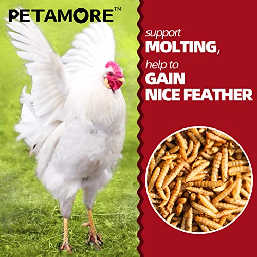  Petamore 10 Lbs Dried Grubs For Chicken -Alternative To Dried Mealworms-Dried Black Soldier Fly Larvae For Laying Hens Backyard Flock Party Poultry, Reptiles,Amphibian, Etc