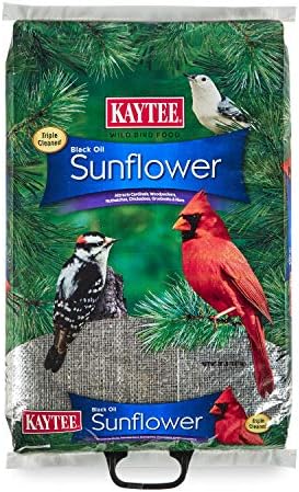  Kaytee Wild Bird Black Oil Sunflower Food, 5 Pounds