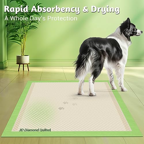  MIZOK Bamboo Dog Pads Odor Eliminating 36x36in XXXL Dog Training Pads, 11 Cups Super Absorbent Leak-Proof Dog Pee Pads With Adhesive Tabs, Disposable Green Color (30 Counts)