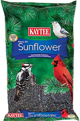  Kaytee Wild Bird Black Oil Sunflower Food, 5 Pounds