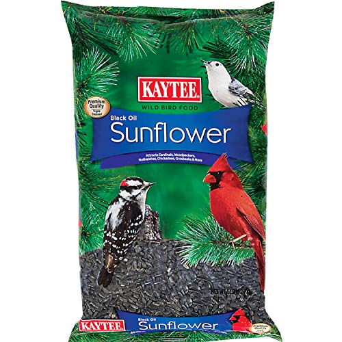  Kaytee Wild Bird Black Oil Sunflower Food, 5 Pounds