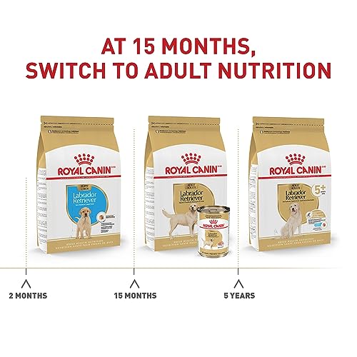  Royal Canin Labrador Retriever Adult Dry Dog Food, 30 Lb Bag