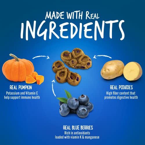  Fruitables Biggies Dog Biscuits – Crunchy Dog Biscuits Made With Pumpkin – Healthy Dog Treats Packed With – Free Of Wheat, Corn And Soy – Pumpkin & Blueberry – 16 Ounces