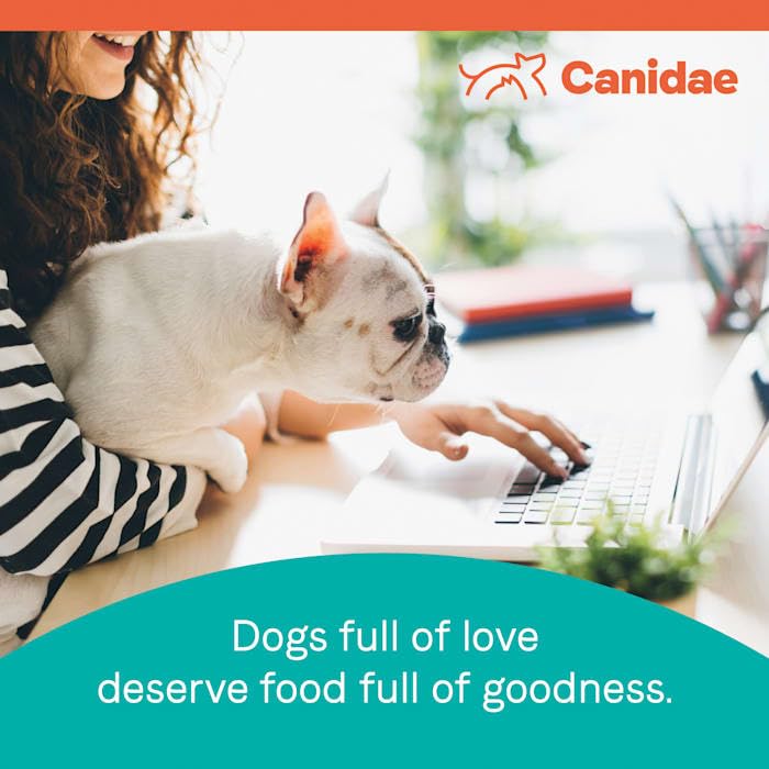  Canidae Pure Petite Premium Freeze-Dried Raw Coated Dog Food For Small Breeds, Real Chicken Recipe, 4 Lbs, Grain Free