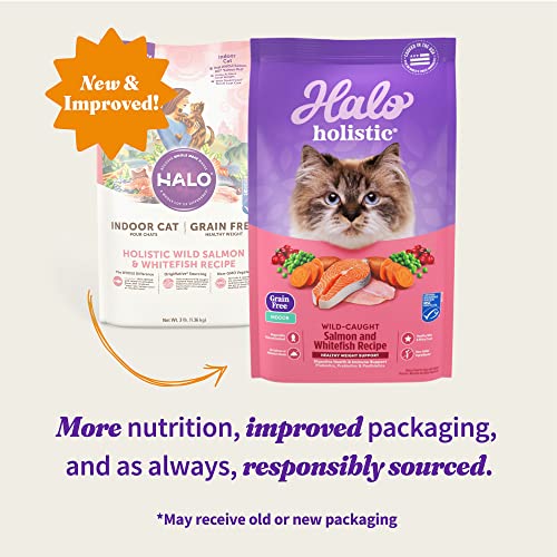  Halo Holistic Indoor Cat Food Dry, Grain Free Wild-caught Salmon & Whitefish Recipe For Healthy Weight Support, Complete Digestive Health, Dry Cat Food Bag, Adult Formula, 6-lb Bag