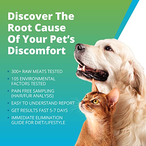  5Strands Pet Raw Food Intolerance & Environmental Sensitivity Test, At Home Test For Dogs & Cats, Hair Sample Collection Kit, All Ages And Breed, Results In 7 Days