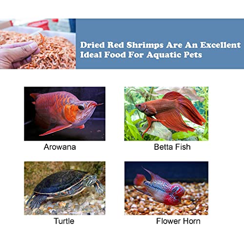  Amzey Dried Large Red Shrimp 198 Grams - Sun Dried 7 Oz- Aquatic Turtle Food, Betta Fish Food, Tropical Fish Food, Crab Food, Reptile Food, Aquatic Fish Foods, Aquatic Pets Food