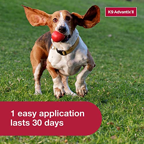  K9 Advantix II Small Dog Vet-Recommended Flea, Tick & Mosquito Treatment & Prevention | Dogs 4-10 Lbs. | 4-Mo Supply, 4 Pack