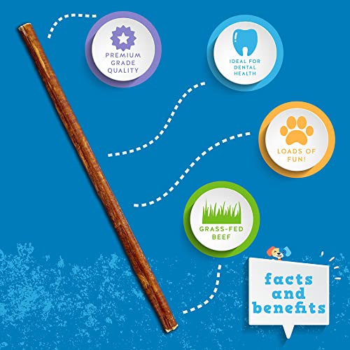  Jack&Pup Thin Dog Bully Sticks Odor Free, Bully Sticks For Dogs, Healthy Dog Treats Bully Sticks For Small Dogs, Beef Dog Chews, Pizzle Chew Sticks For Dogs (12-Inch Thin Bully Stick, 12 Pack)