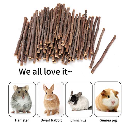  CHUHUAYUAN Natural Apple Sticks, 500g Treats Food For Small Animals, Chew Toys For Chinchilla Guinea Pigs Rabbit Squirrel Hamster Bunny