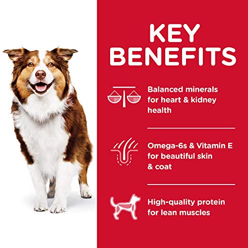  Hill's Science Diet Dry Dog Food, Adult 7+ For Senior Dogs, Chicken Meal, Barley & Rice Recipe, 5 Lb. Bag