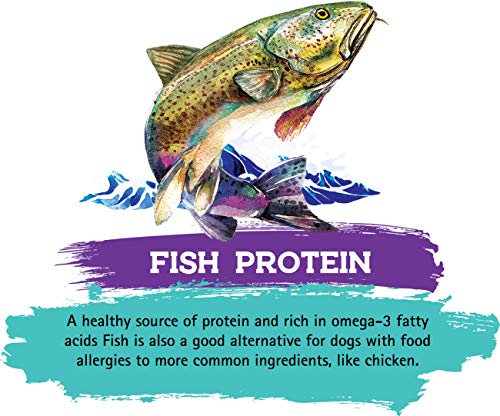  Inception® Dry Cat Food Fish Recipe – Complete And Balanced Cat Food – Meat First Legume Free Dry Cat Food – 13.5 Lb. Bag