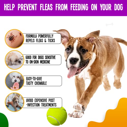  True Tails Flea And Tick Prevention For Dogs – 90 Bacon Soft Chews Dog Flea & Tick Control – Natural Flea And Tick Treatment With Garlic, Hemp, Vitamin B Complex – With No Preservatives