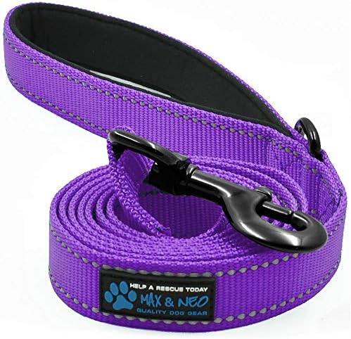  Max And Neo Reflective Nylon Dog Leash - We Donate A Leash To A Dog Rescue For Every Leash Sold (Purple, 4x1)