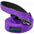  Max And Neo Reflective Nylon Dog Leash - We Donate A Leash To A Dog Rescue For Every Leash Sold (Purple, 4x1)