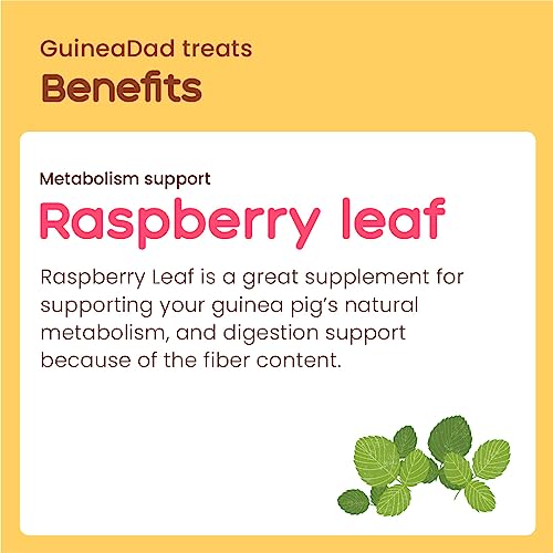  GuineaDad Organic Guinea Pig Herbal Treats - Guinea Pig Food With Convenient Packaging - Raspberry Leaf Flavor - 2-oz - Guinea Pig Treats Help With Bonding - High In Nutrition And Fiber - Large