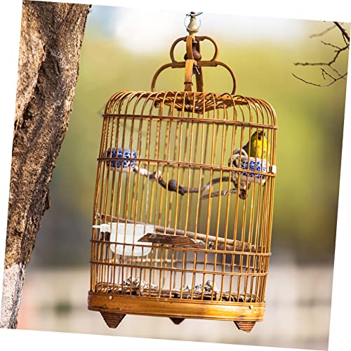  25 Pcs Parrot Feeding Box Hamster Accessories Chicken Accessories Bunny Feeder Dog Crate Bowl Bird Bowls For Cage Bird Food Container Bird Water Bowl Bird Accessory Parrot Feeder