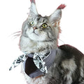  Elegant And Practical: Gray Print Cat Bib For Clean And Stylish Mealtimes (Small)