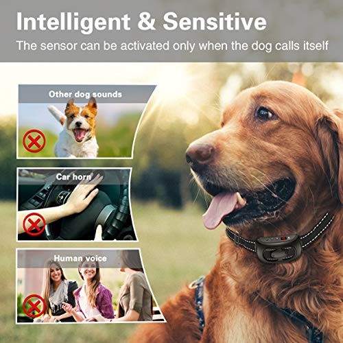  CLEEB-BOUG Dog Bark Collar, No Bark Training Rechargeable Anti Barking Collar With 9 Adjustable Sensitivity And Intensity Beep Shock Vibration For Small Medium Large Dogs (Black)