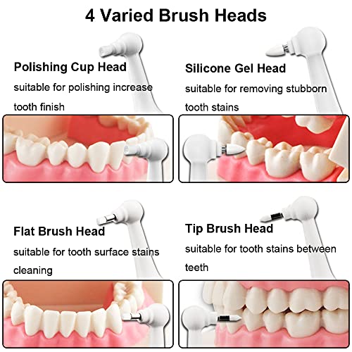  Yuland Electric Tooth Cleaning Kit, 3 Adjustable Modes And 4 Replacement Brushes Rechargeable Teeth Whitening Cleaner For People And Pet Dog (Pink)