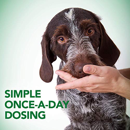  Vet's Best Probiotic Soft Chews Dog Supplements | Supports Dog Digestive Health | Promotes A Healthy Gut | 30 Day Supply