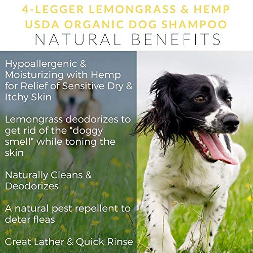  4Legger All Natural Hemp Oil Shampoo For Dogs - USDA Certified Organic Dog Shampoo With Lemongrass Essential Oil - Moisturizing Dry Itchy Skin Dog Shampoo - Concentrated - USA - 8 Fl Oz