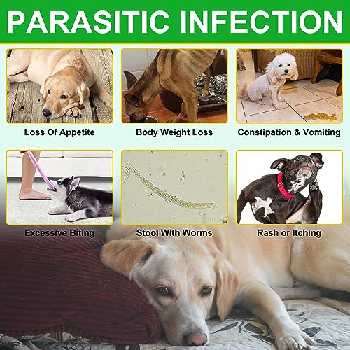  Flea & Tick Prevention For Dogs Chewable, Natural Flea And Tick Supplement For Dogs, 150 Flea And Tick Chews For Dogs, Oral Flea Pills For All Breeds And Ages Dogs