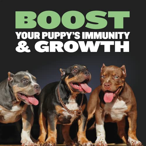  Bully Max Dog Food 24/14 High Protein & Growth Formula - Dry Dog Food, Puppy Food W/Lamb & Rice, All Breed Puppy Essentials, Slow Cooked Pet Food For Sensitive Stomachs, 5-Pound Bag