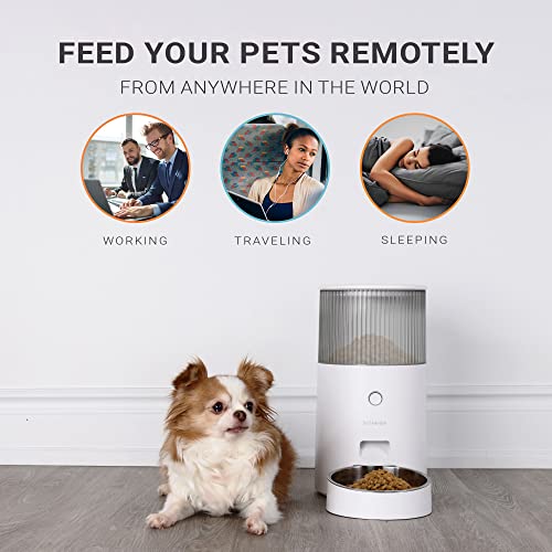  INSTACHEW Purechew Mini Automatic Cat Feeders 2.5L - Automatic Cat Food Dispenser- Dry Food Smart Dog Feeder - Automatic Pet Feeders For Cats And Dogs -Programmable Portion Control- Timed Cat Feeder