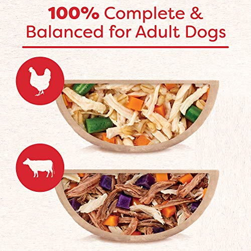  CESAR WHOLESOME BOWLS Adult Soft Wet Dog Food Toppers Variety Pack, Chicken, Carrots, Barley & Green Beans Recipe And Beef, Chicken, Purple Potatoes & Carrots Recipe, (6) 3 Oz. Bowls