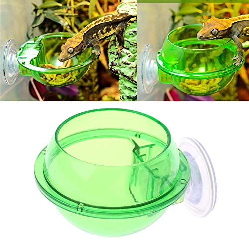  ZSQZJJ Pet Drinking Basin And Feeding Basin Reptile Anti-Escape Food Bowl Cup Turtle Lizard Worm Live Food Container