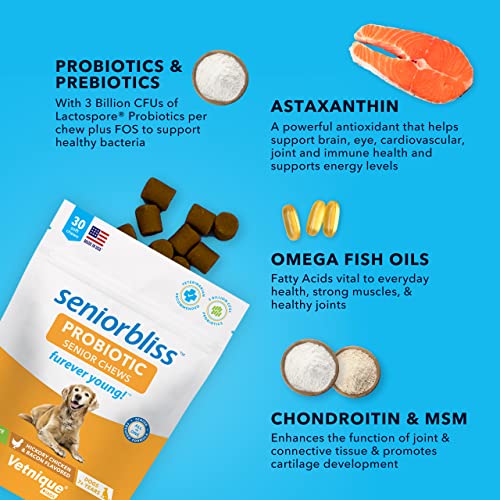  Vetnique Labs Seniorbliss Aging Dog (7+) Senior Dog Vitamins And Supplements, Supports Heart, Allergy, Arthritis, Skin And Coat - Furever Young (Probiotic Chew, 30ct)