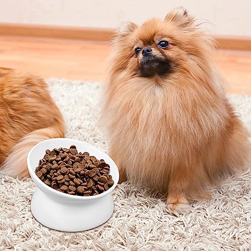 GENERIC PAILUOMU Ceramic Raised Cat Bowl, Set 2 Tilted Elevated Pet Food And Water Bowls, Stress Free Cat Dog Feeder Dish, Suitable For Small, Medium Cats And Dogs,White