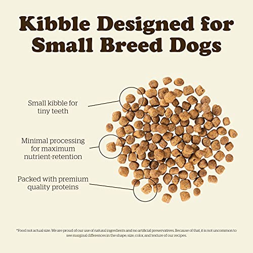  Now Fresh Grain Free Small Breed Dog Food, 3.5 Lb - Dry Puppy Food Recipe - Healthy Diet With Probiotics & Real Meat And Fish For Protein