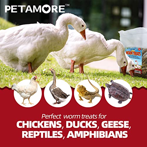 Petamore 10 Lbs Dried Grubs For Chicken -Alternative To Dried Mealworms-Dried Black Soldier Fly Larvae For Laying Hens Backyard Flock Party Poultry, Reptiles,Amphibian, Etc