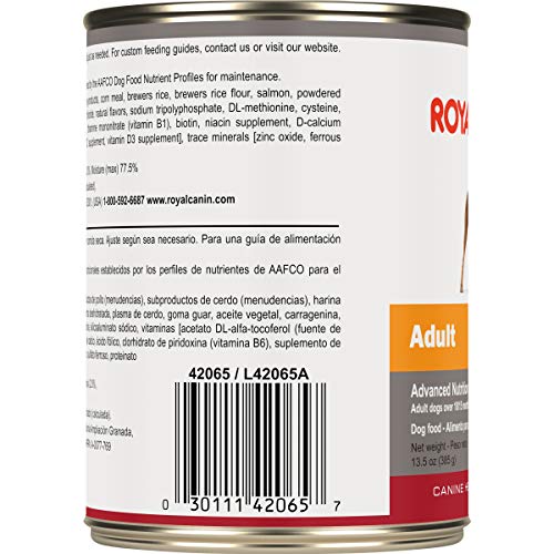  Royal Canin Canine Health Nutrition Adult In Gel Canned Dog Food, 13.5 Oz (Pack Of 12)