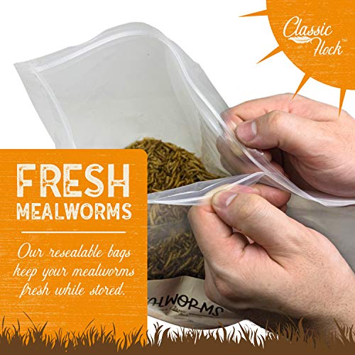  Classic Flock 5LB Dried Mealworms Non-GMO High Protein Treats For Chicken, Wild Birds, Ducks, Fish, Hedgehogs, Lizards, Reptiles